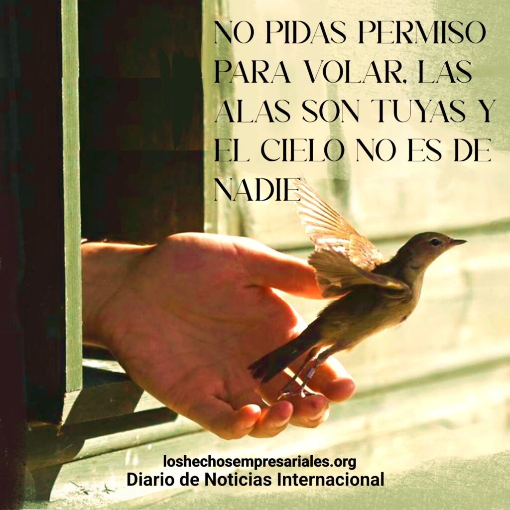 reflexiones 18-6-2025