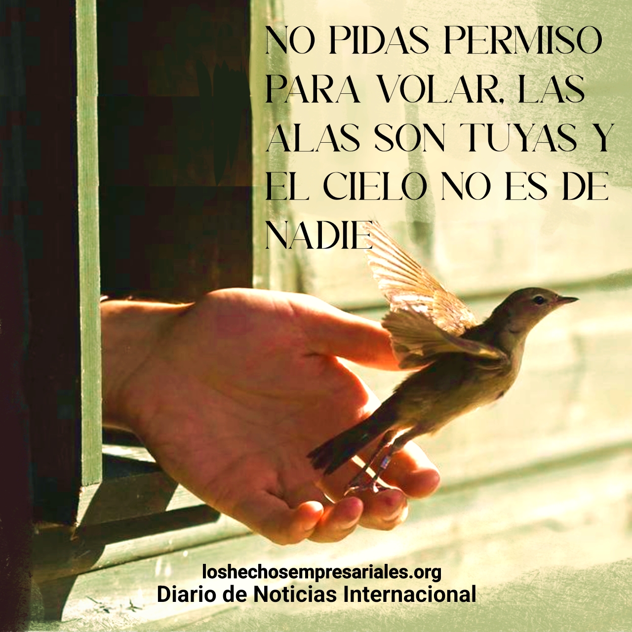 reflexiones 18-6-2025