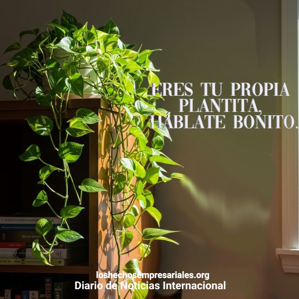 reflexiones 3-7-2025