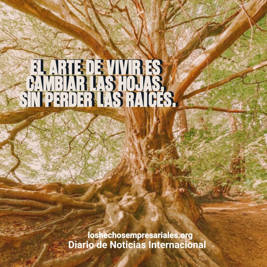REFLEXIÓN 13-08-2025