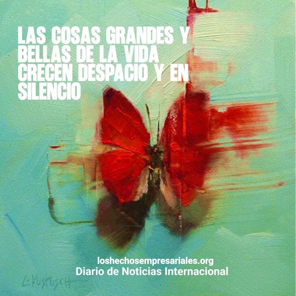REFLEXIONES 22-08-2025