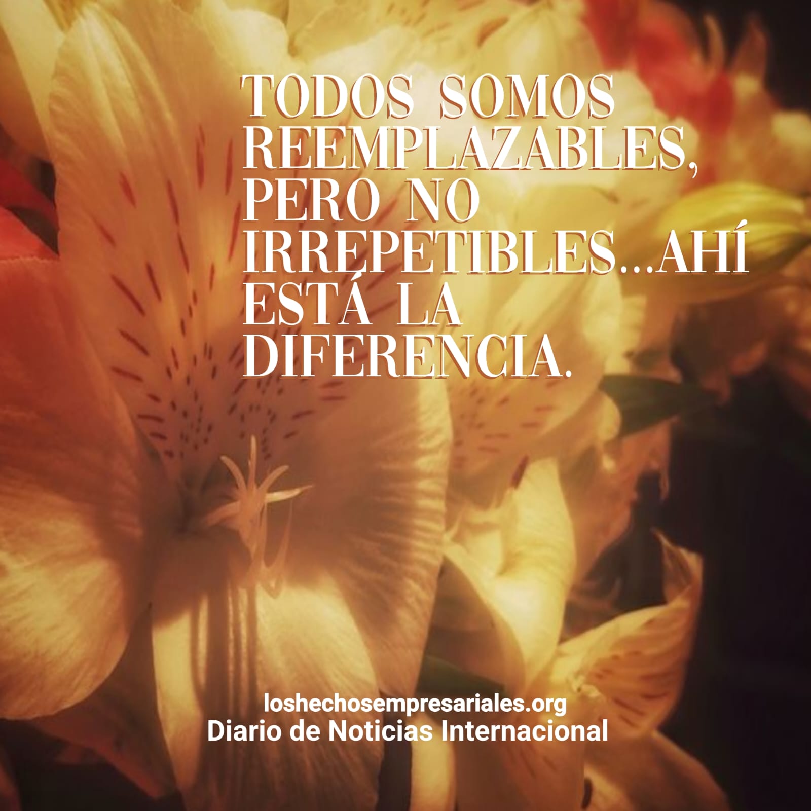 reflexiones 15-8-2025