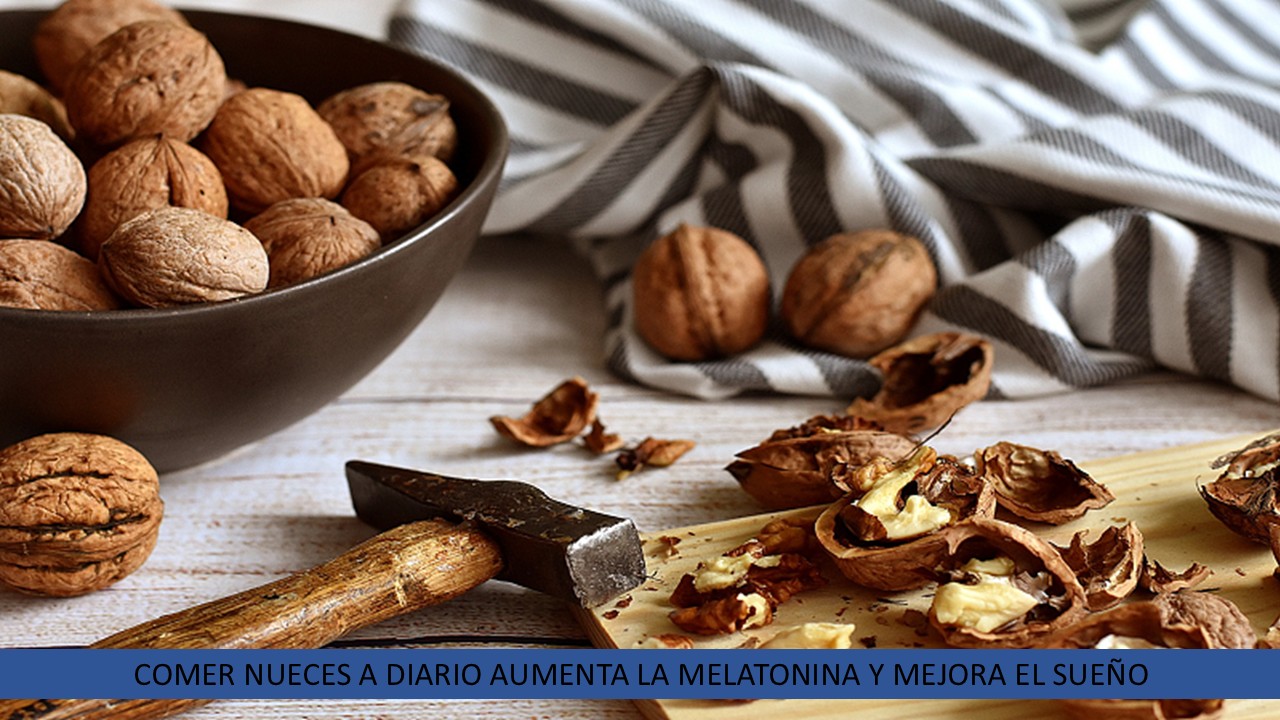 COMER NUECES A DIARIO AUMENTA LA MELATONINA Y MEJORA EL SUEÑO