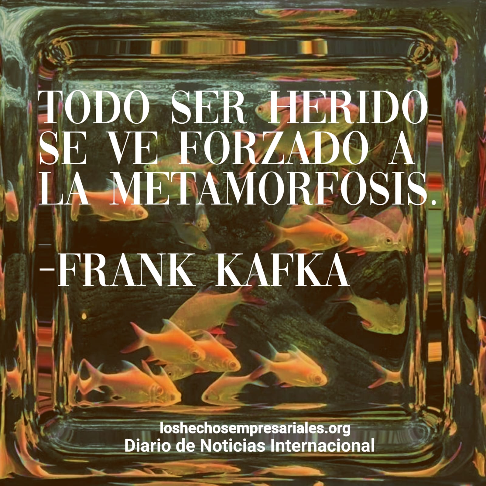 REFLEXIÓN 08-09-2025