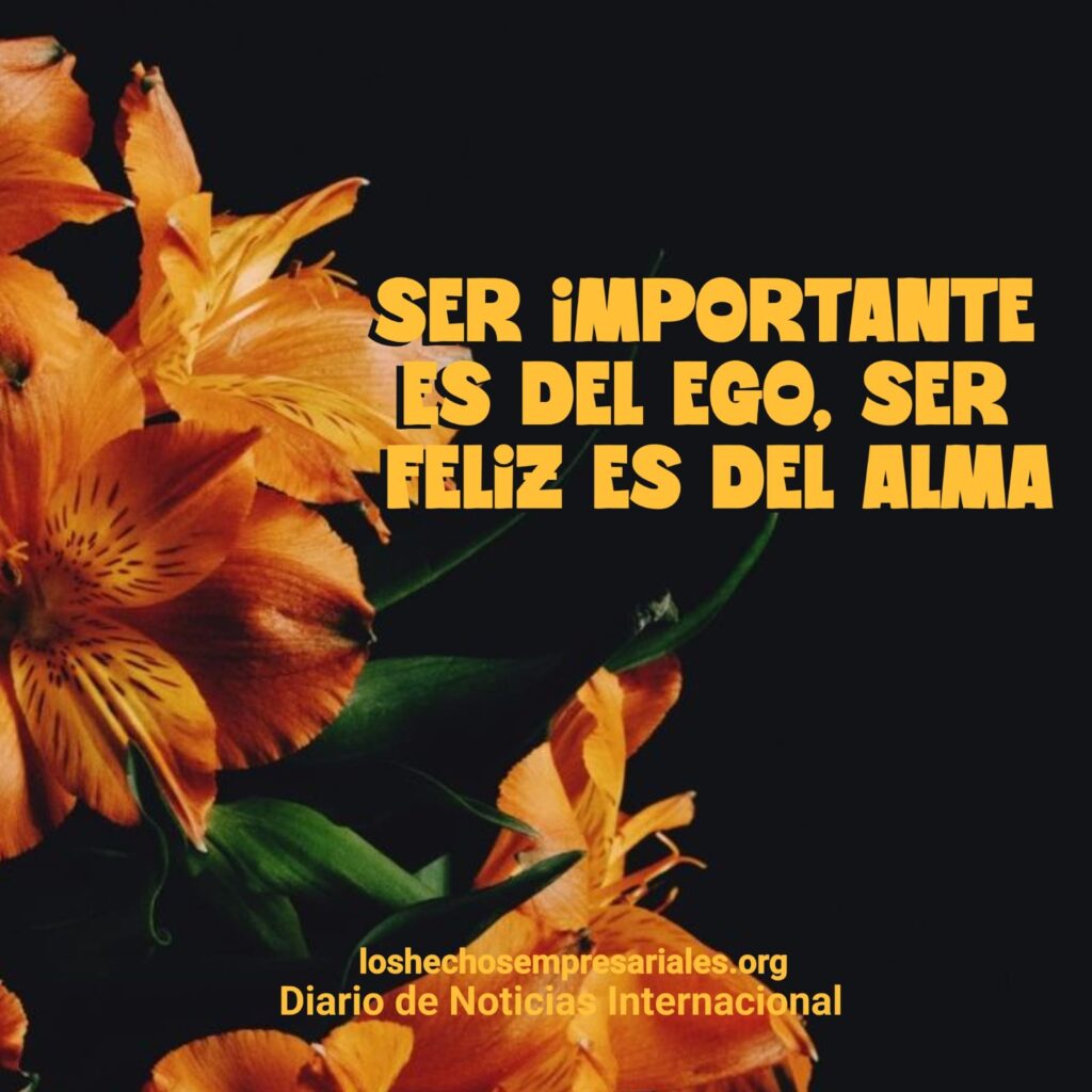 Reflexión 08-10-2025