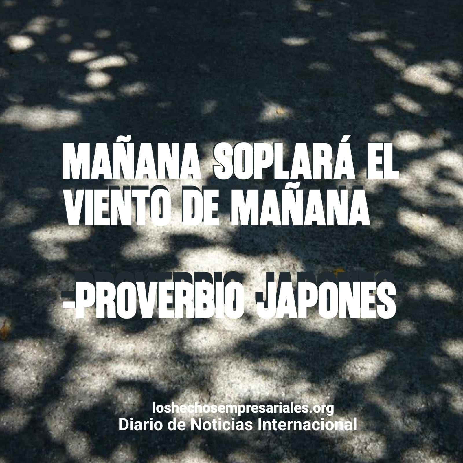 Reflexión 15-10-2025