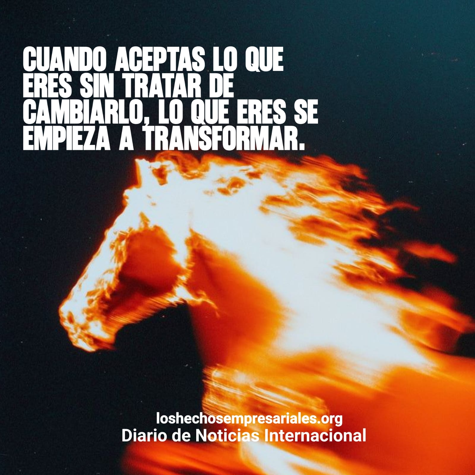 reflexiones 20-10-2025