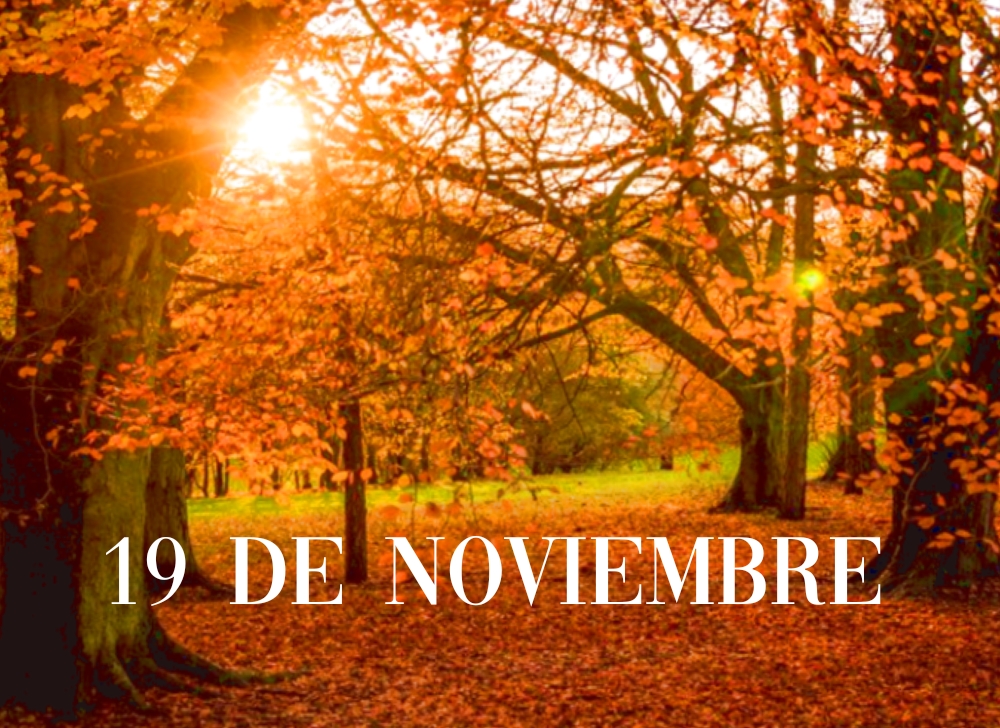 EFEMÉRIDES DEL19 DE NOVIEMBRE