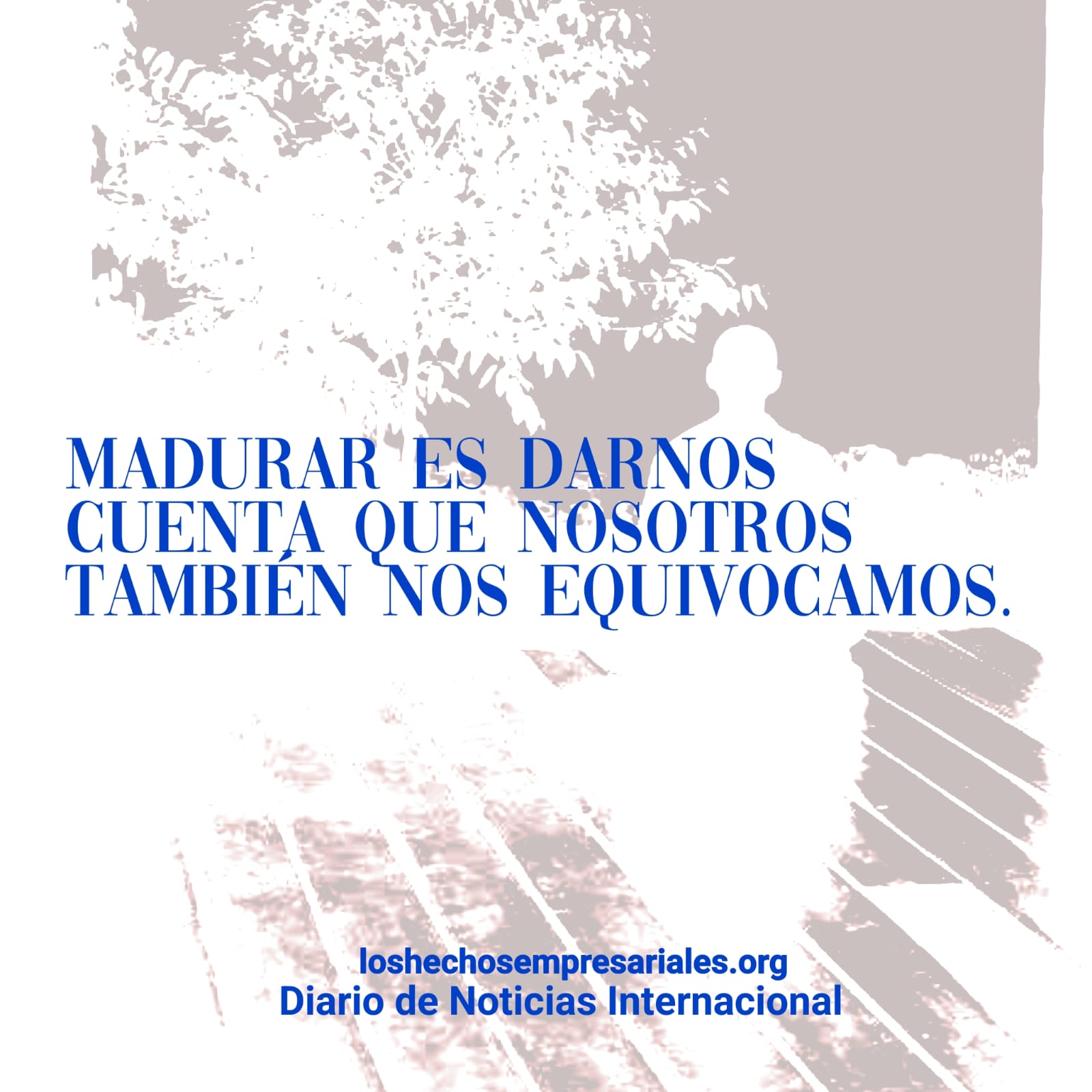 Reflexión 10-11-2025