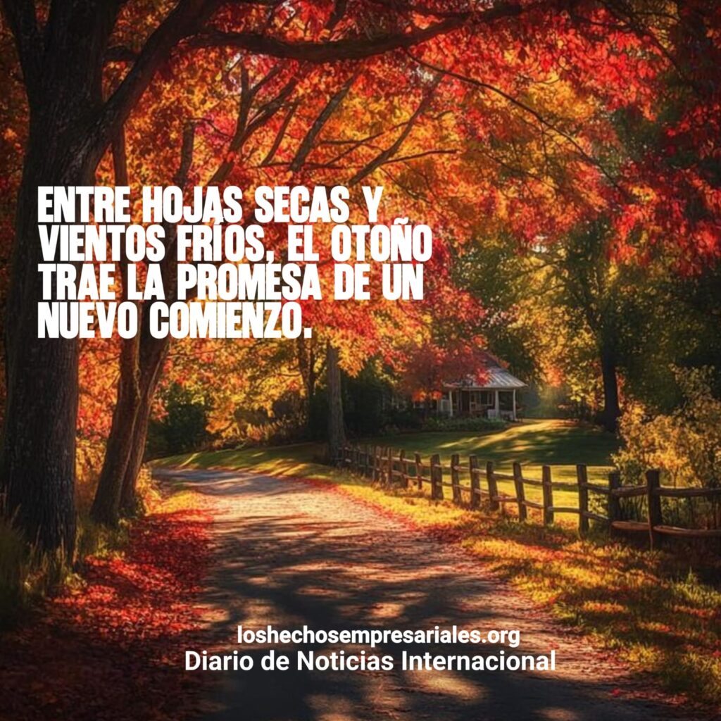 Reflexión 03-11-2025