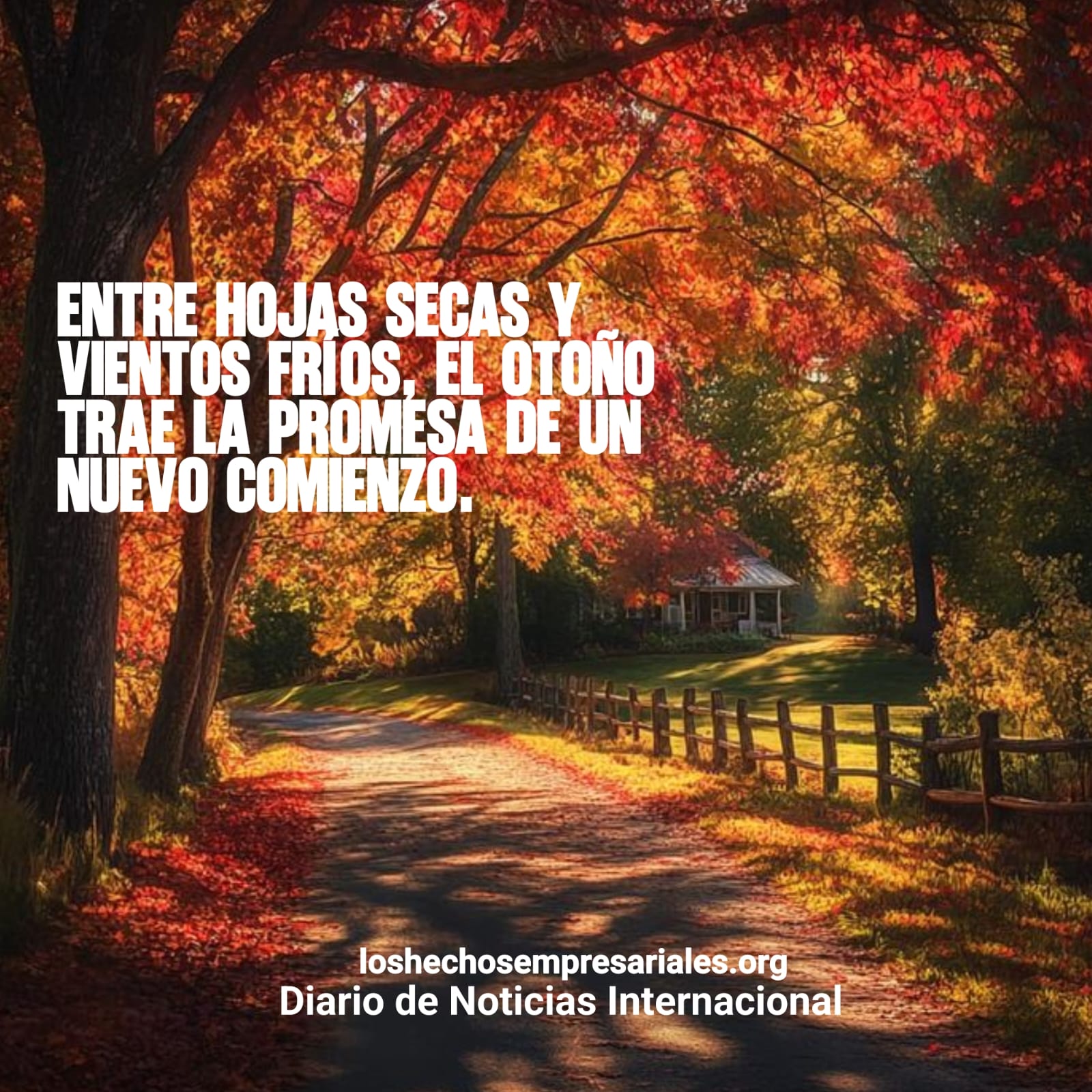 Reflexión 03-11-2025