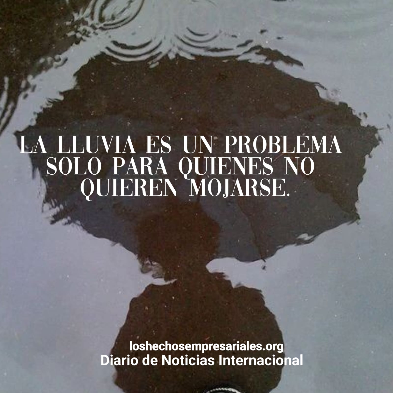 Reflexión 06-11-2025