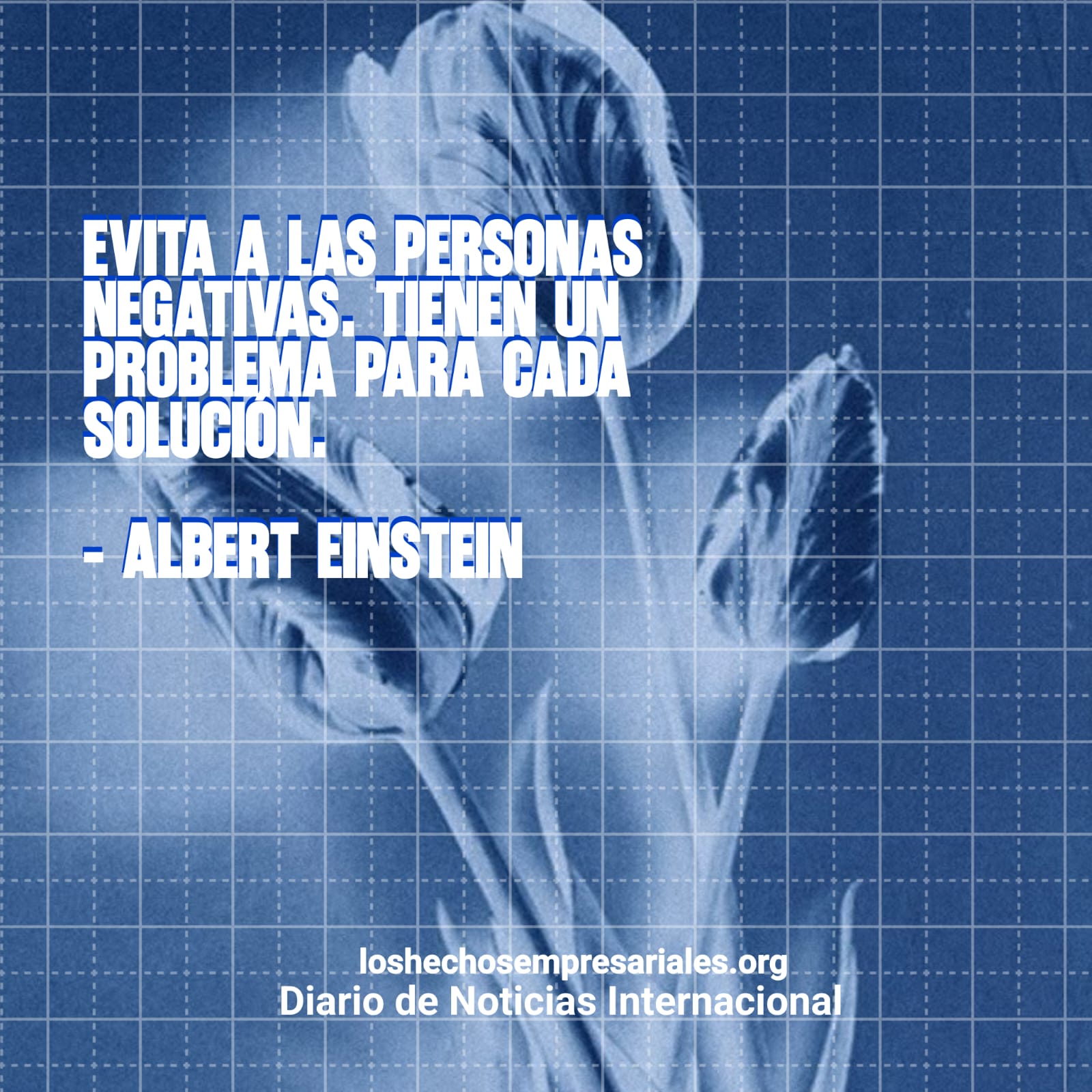 Reflexión 11-11-2025