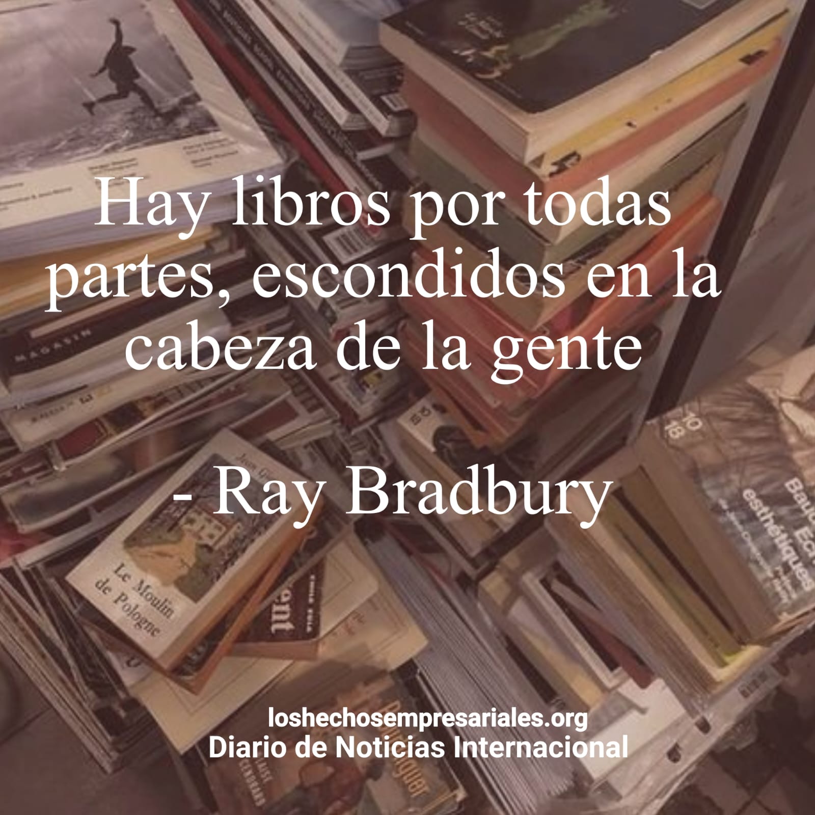 Reflexión 19-11-2025