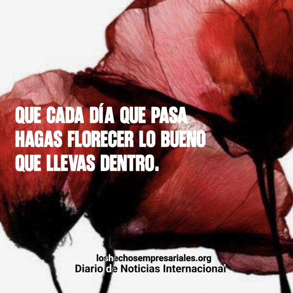 Reflexión 02-12-2025