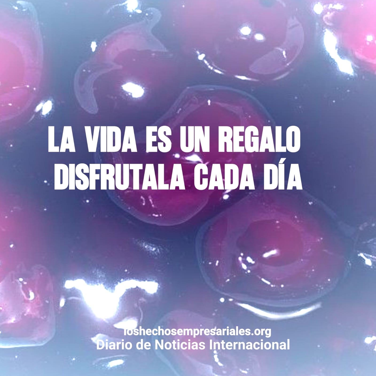 Reflexión 04-12-2025