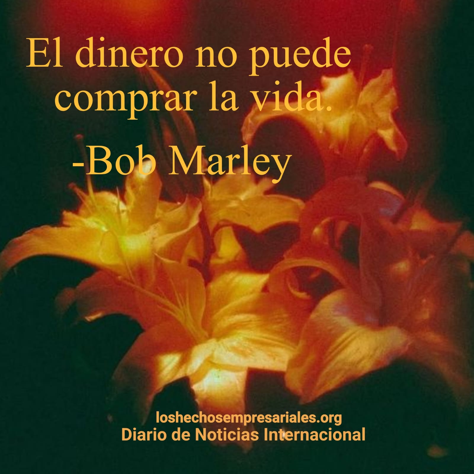 Reflexión 11-12-2025