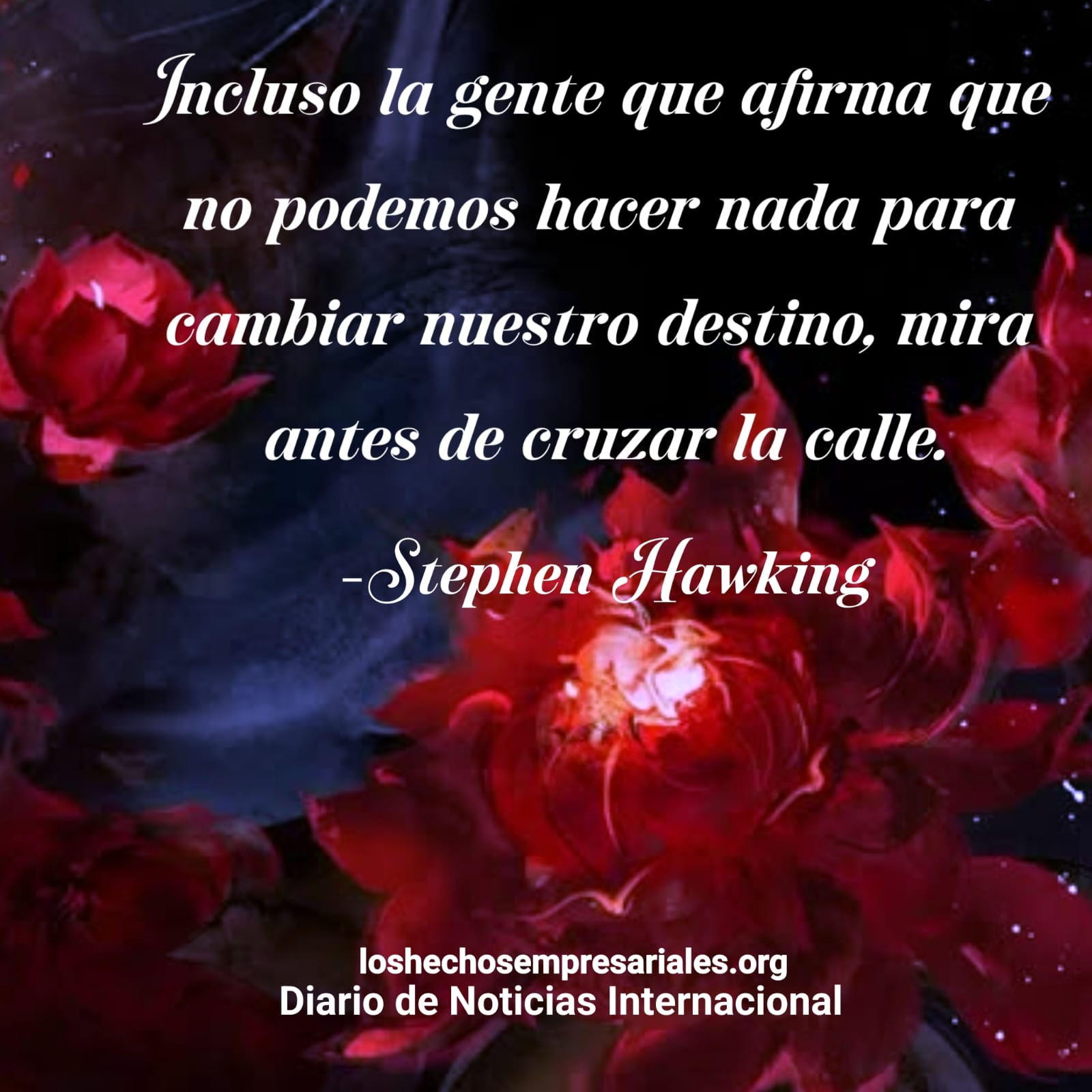 Reflexión 12-12-2025