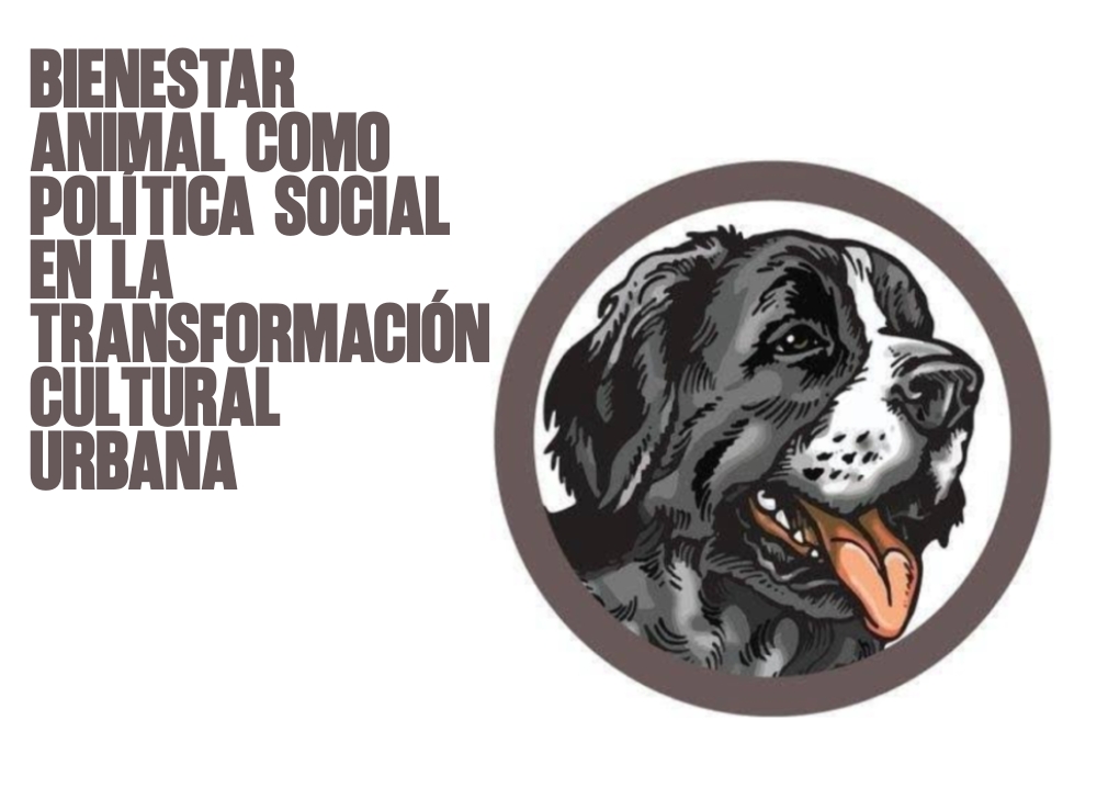 Bienestar animal como política social en la transformación cultural urbana
