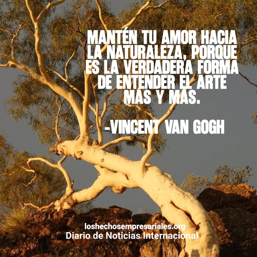 Reflexión 27-01-2026