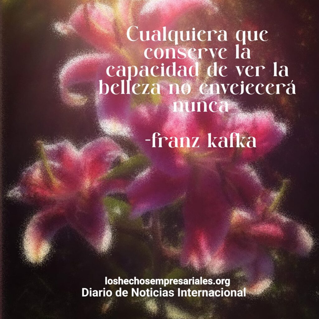 Reflexión 29-01-2026