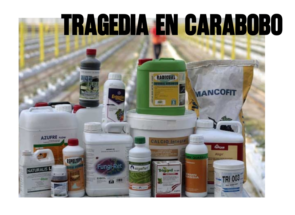 Tragedia en Carabobo