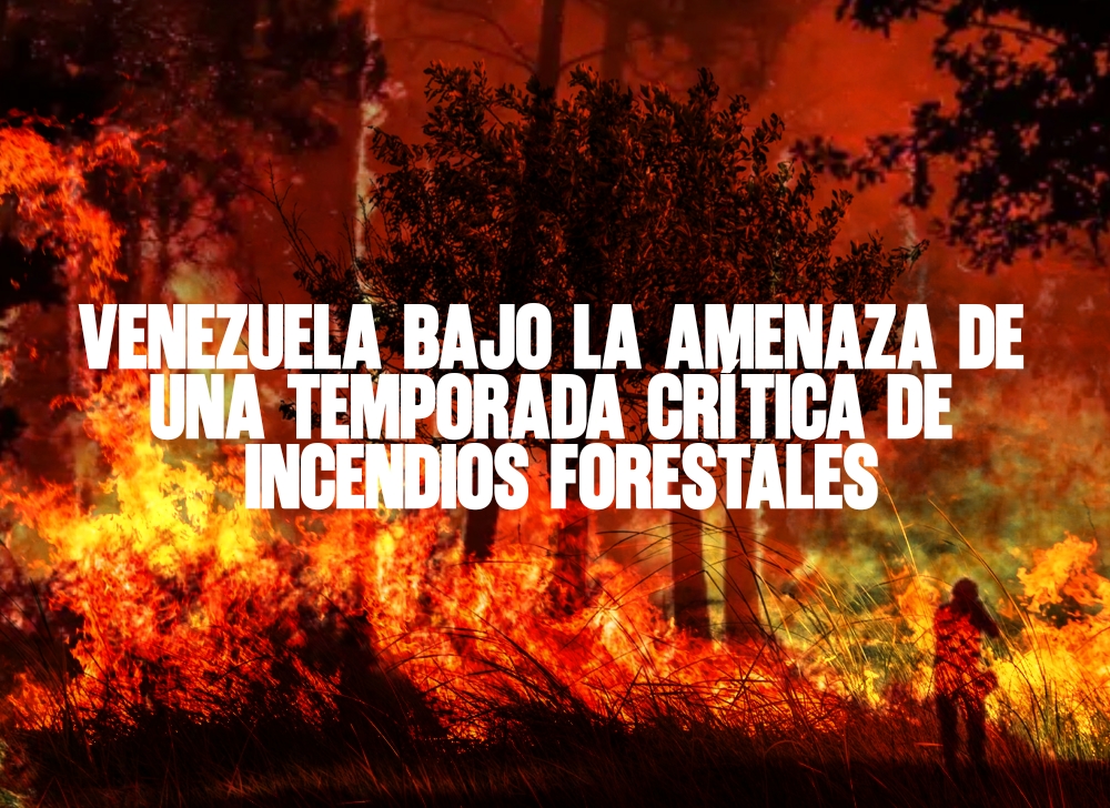 Venezuela bajo la amenaza de una temporada crítica de incendios
