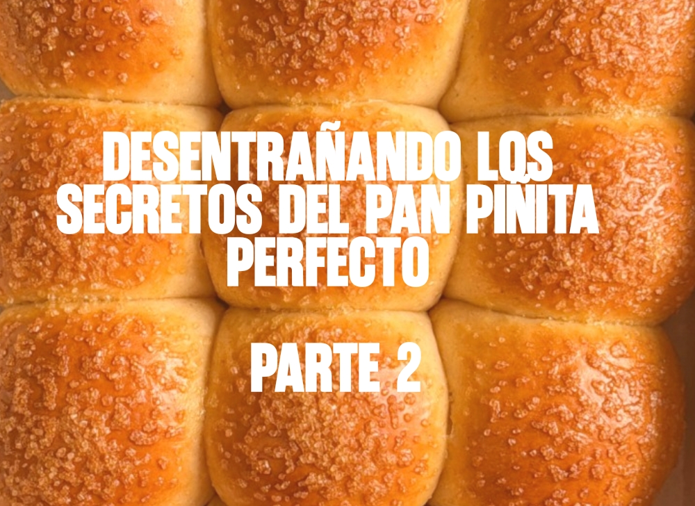Guía de Resolución de Problemas: Desentrañando los Secretos del Pan Piñita Perfecto parte 2
