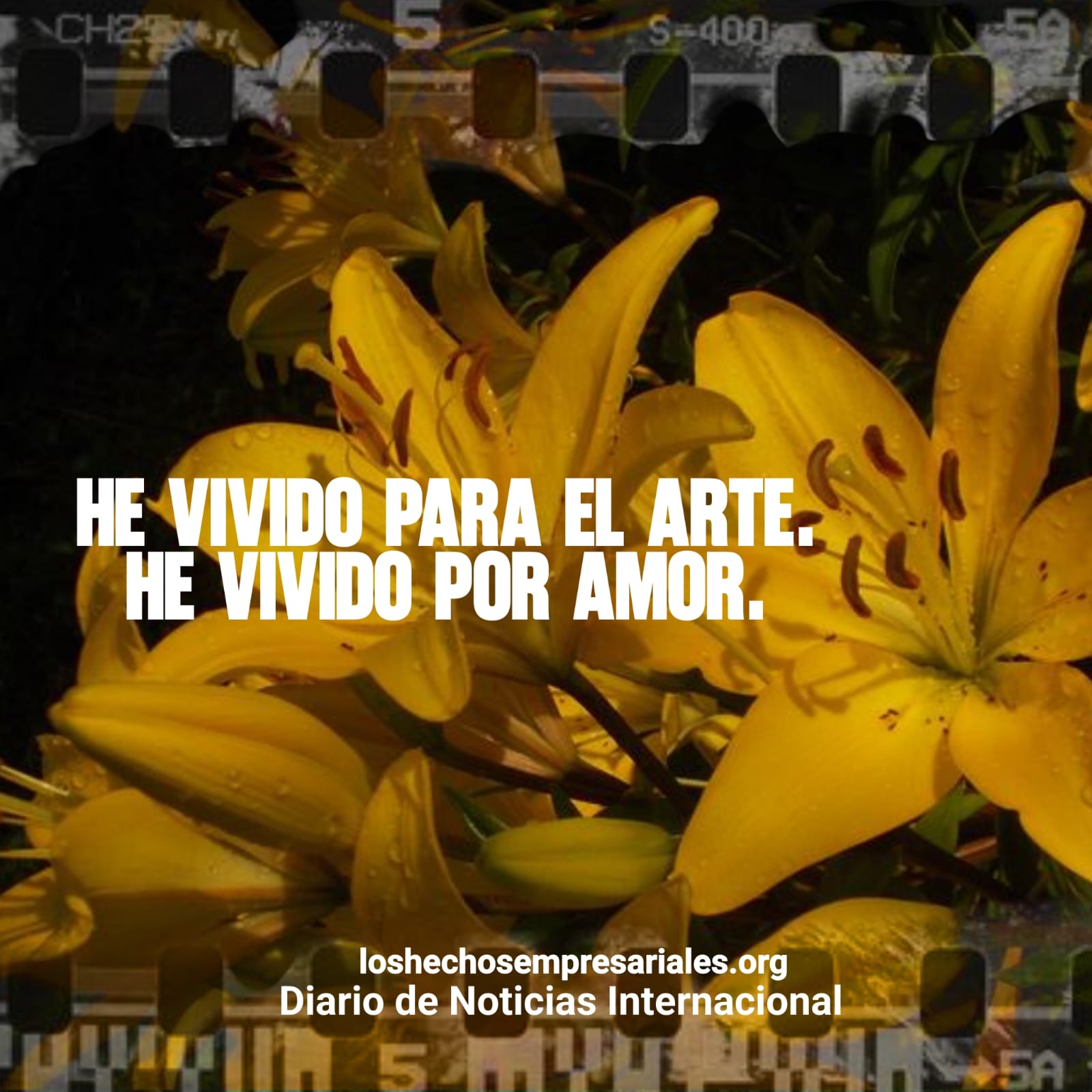 Reflexión 05-02-2026