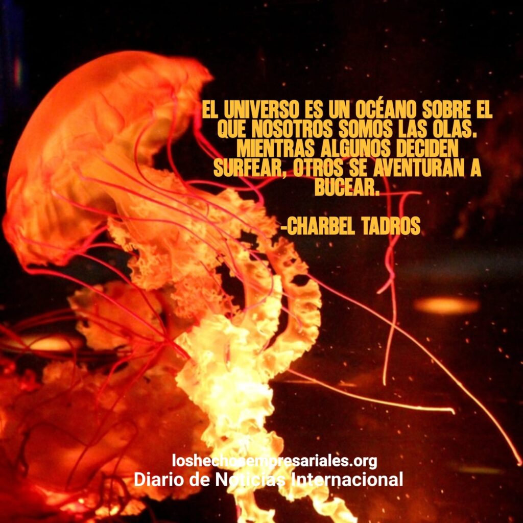 Reflexión 11-02-2026