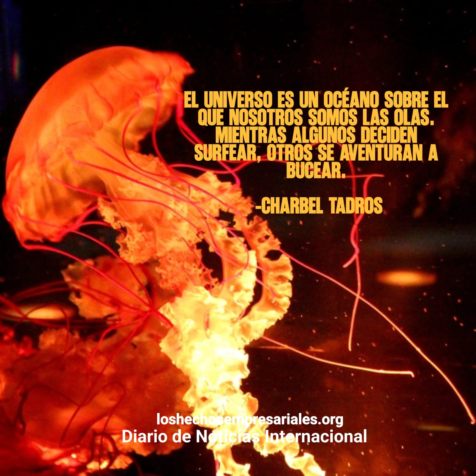 Reflexión 11-02-2026
