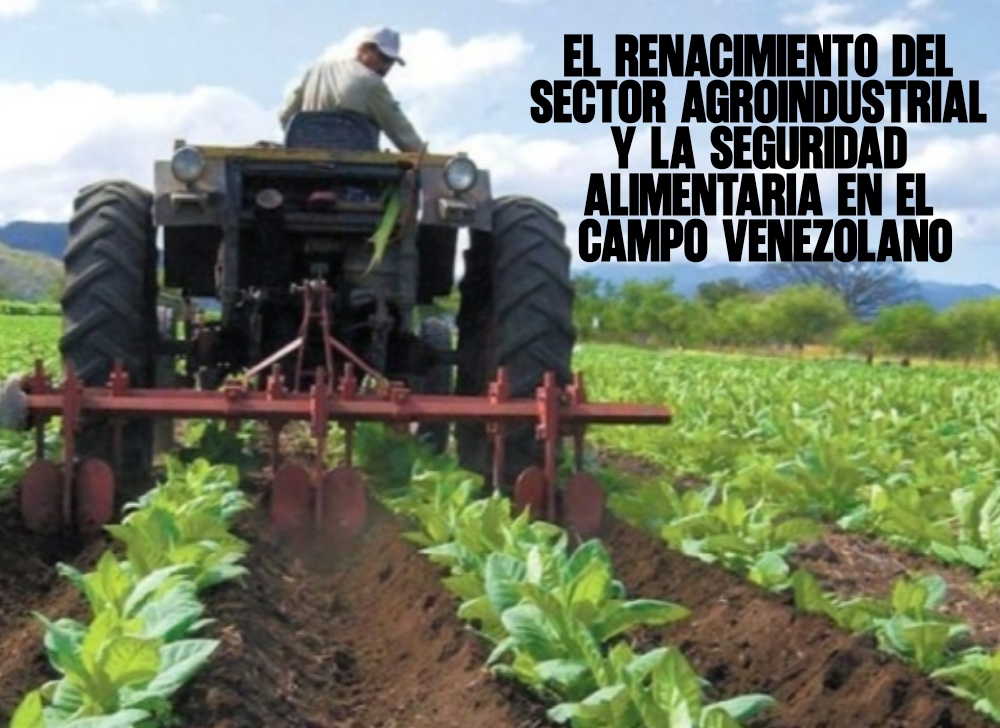 El renacimiento del sector agroindustrial y la seguridad alimentaria en el campo venezolano