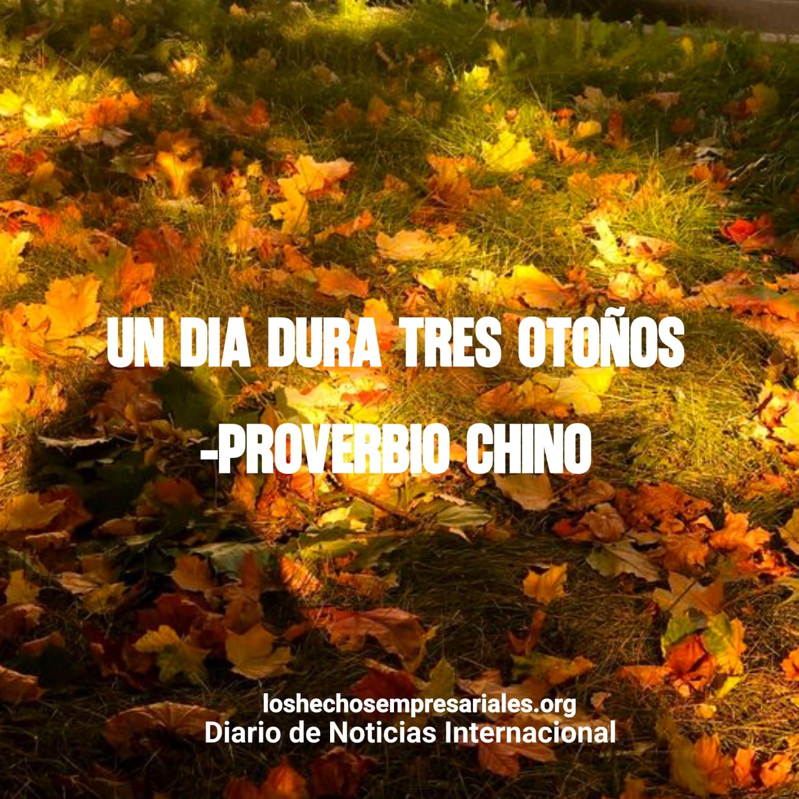 Reflexión 06-03-2026