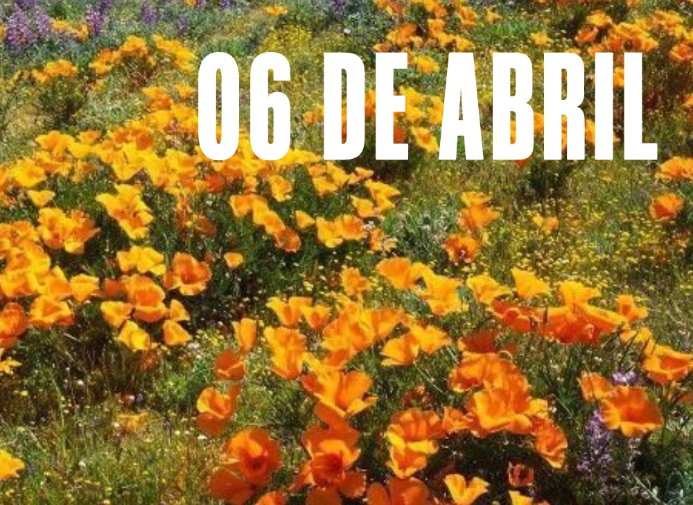 EFEMERIDES 06 DE ABRIL