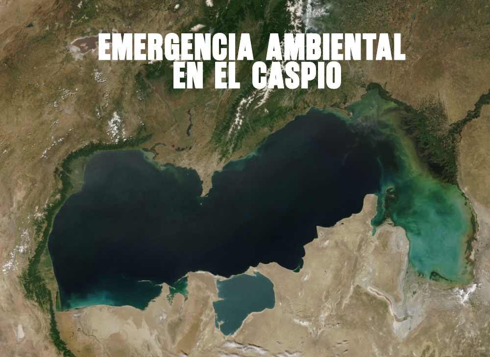 Emergencia Ambiental en el Caspio