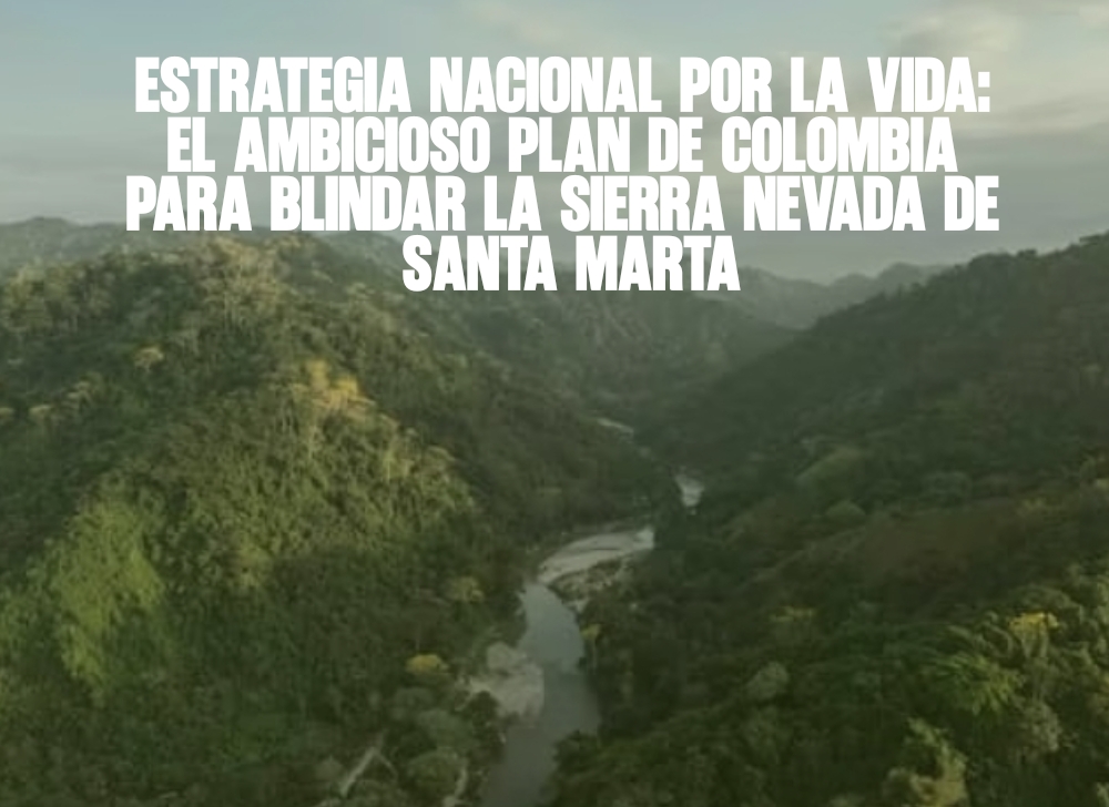 Estrategia nacional por la vida El ambicioso plan de Colombia para blindar la Sierra Nevada de Santa Marta