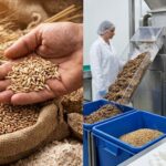 LA ESTAFA NUTRICIONAL