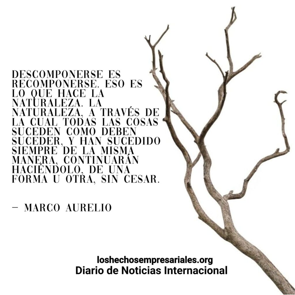 Reflexión 06-04-2026