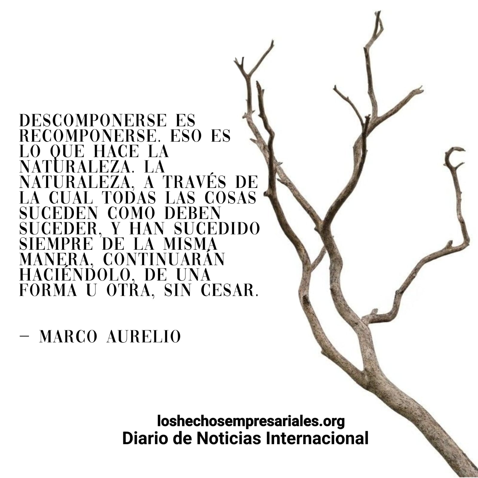Reflexión 06-04-2026