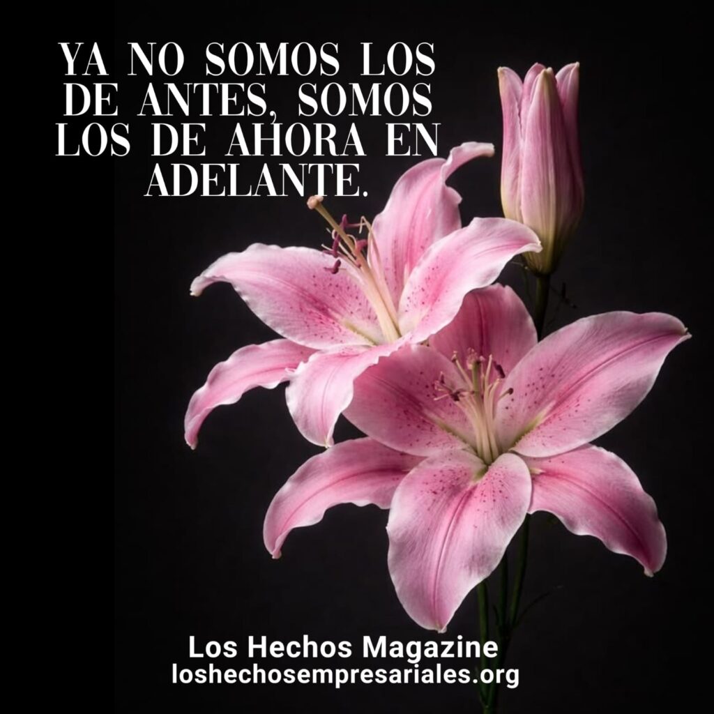 Reflexión 15-04-2026