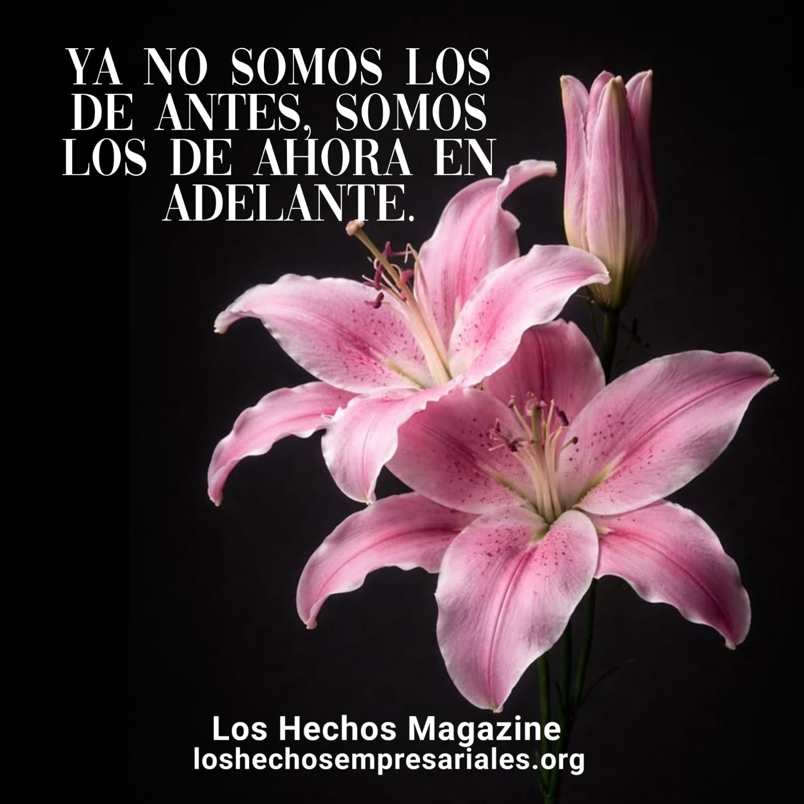 Reflexión 15-04-2026