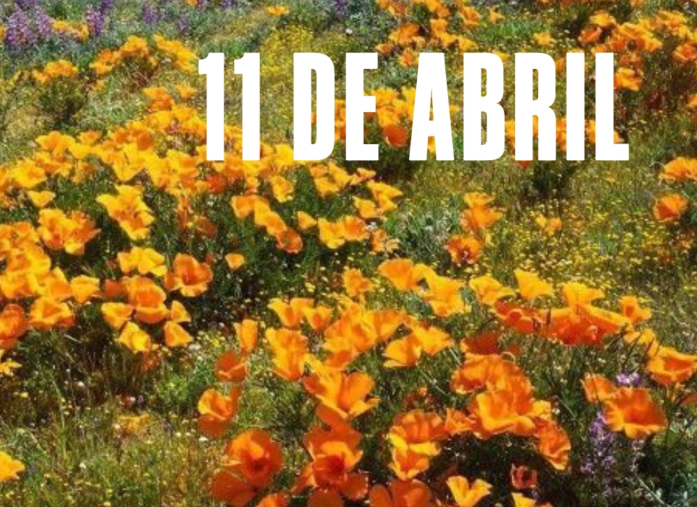 efemerides 11-4-2026