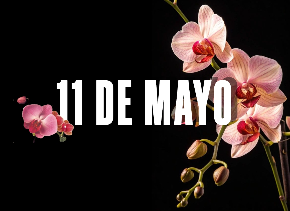 EFEMERIDES 11 DE MAYO