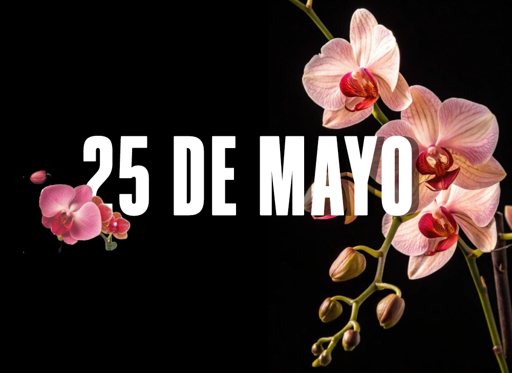 EFEMERIDES 25 DE MAYO