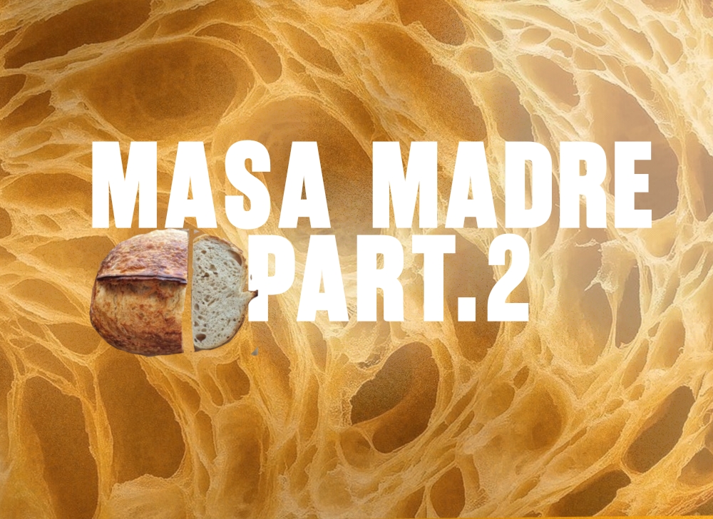 Pan de Masa Madre