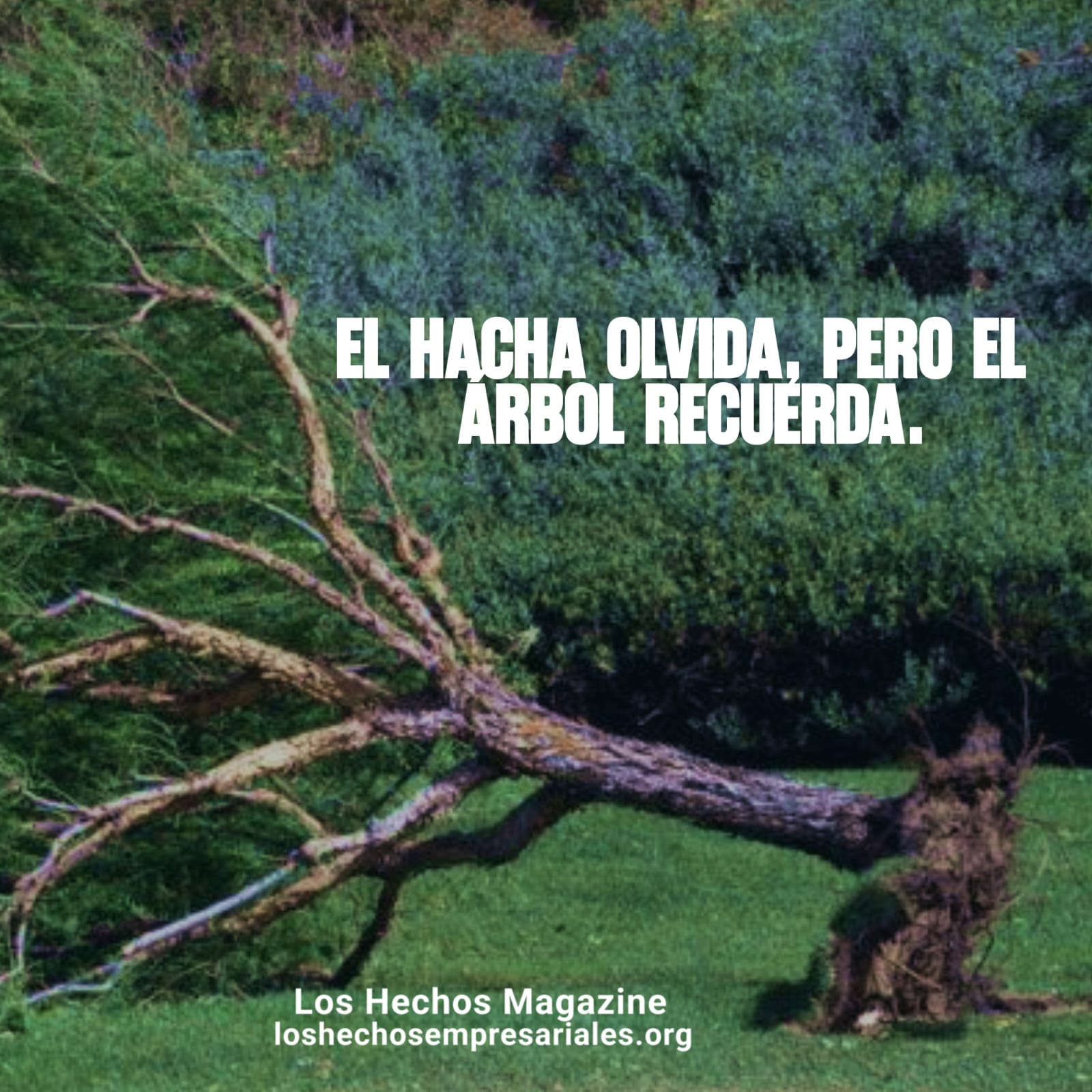REFLEXIONES 21-05-2026