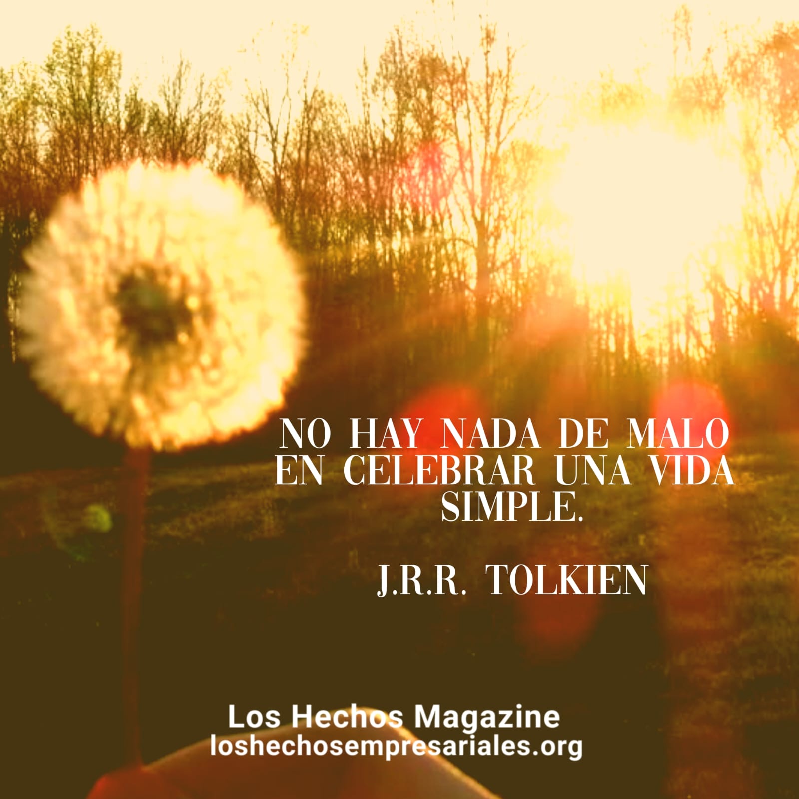 Reflexión 26-05-2026