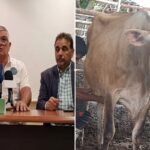 Resurgimiento del Agro en el Sur