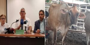 Resurgimiento del Agro en el Sur