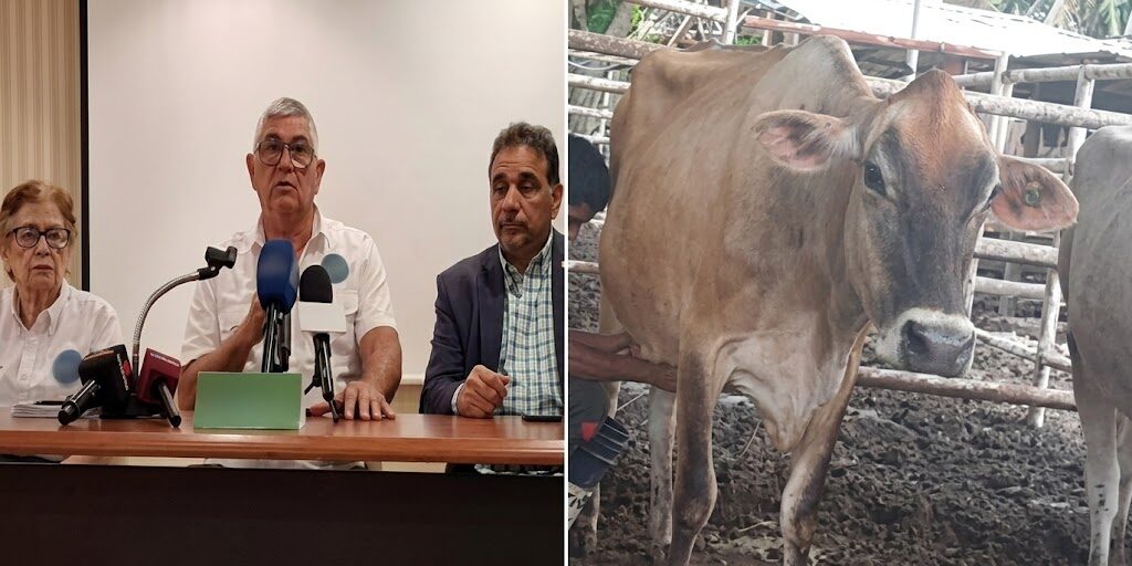 Resurgimiento del Agro en el Sur